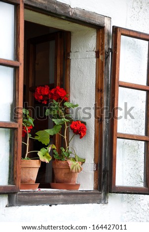Old window with flowers.