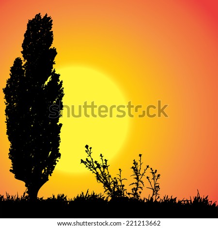 Vector silhouette landscape with trees at sunset.