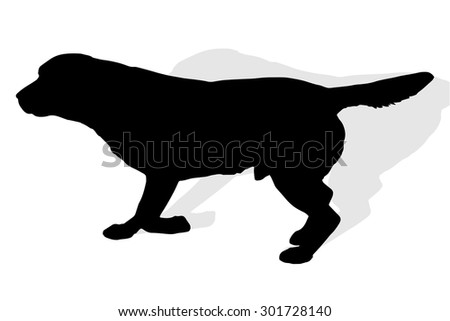Vector Silhouette Of A Dog On A White Background. - 301728140