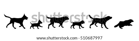 Vector illustration of dog on a white background.