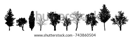 Similar – Image, Stock Photo black and white conifer