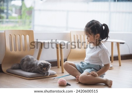 Foto Bild schielendes Katzenkind spielt mit Stofftier