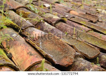 Grunge, texture and pattern.  Macro of an old and red tiles on roof.