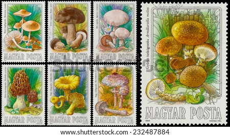 HUNGARY - CIRCA 1984: complete set of stamps printed in Hungary shows edible mushrooms, circa 1984