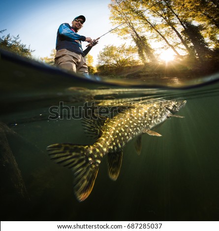 Similar – Image, Stock Photo Underwater view of man free diving in blue ocean.