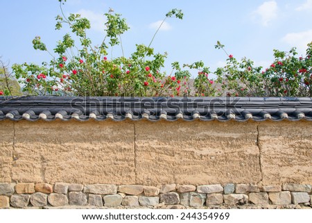 korean traditional tiled roof wall with red rose in sunny day