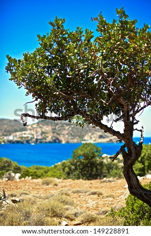 Greece, sea, trees