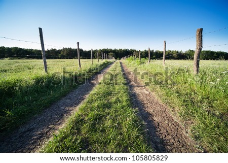 road among green grass fence with barbed wire on both sides blue sky on sunset