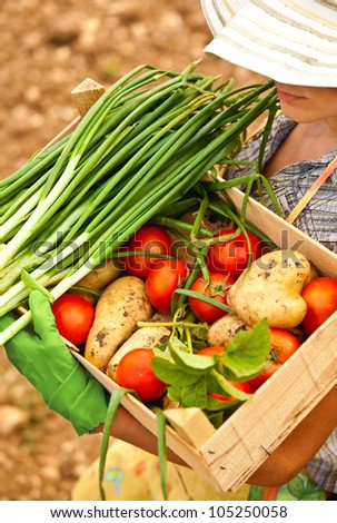 Happy woman gardener working on the field, young female carrying chest of vegetables, adult girl growing organic green food, summer garden, rural leisure outdoor, lady farmer, tomato harvest season
