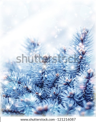 Image of snowy fir tree background, abstract natural backdrop, pine tree branch covered hoar, coniferous twig border, beautiful winter season, New Year greeting card, Christmas holidays