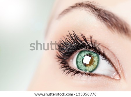 One open green eye, ophthalmology clinic, healthy sight, natural makeup, black mascara, face part isolated on gray background
