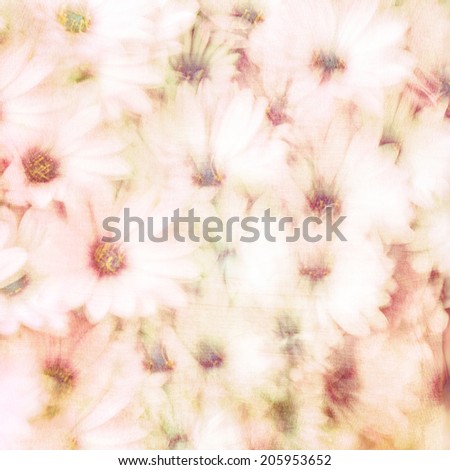 Beautiful floral background, abstract natural texture, gentle daisy flowers, fine art, blooming nature, tender flowery wallpaper