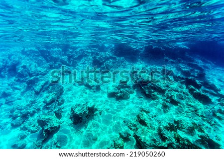 Beautiful Seabed