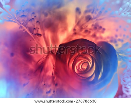 Dreamy rose background, abstract festive colorful floral card, stylish greeting card, amazing flowers wallpaper