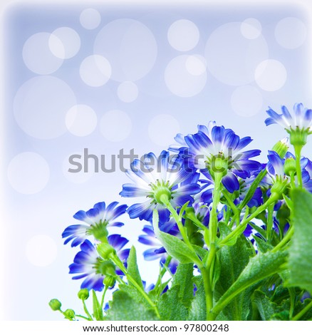 Floral border, fresh spring blue blooming flowers over abstract background, wildflowers with bokeh, natural plant decoration