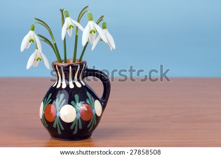 snowdrop flowers in vase on blue background