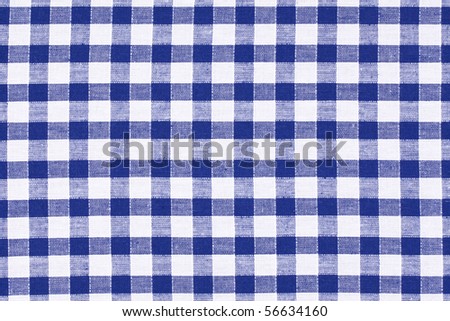 the blue checkered tablecloth