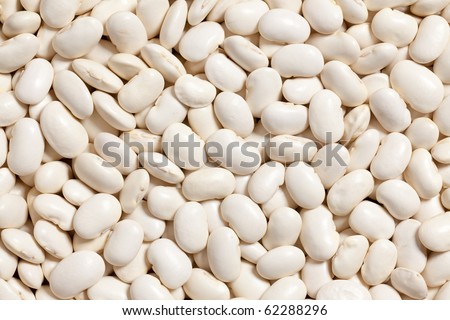 white beans background