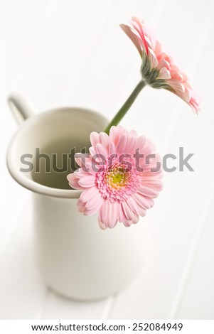 the Gerber Daisy in vase