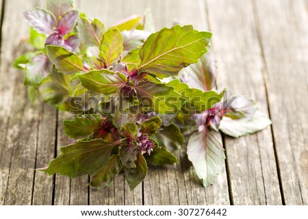 bunch of basil on old wooden table