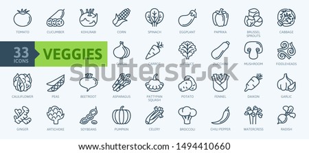 Vegetarian, vegetable, veggies - minimal thin line web icon set. Included the simple vector icons as tomato, cucumber, kohlrabi, cauliflower, pattypan squash, fiddleheads. Outline icons collection. 商業照片 © 