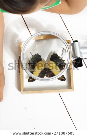 Butterfly, a young collector.\
The girl is watching colorful butterfly through a magnifying glass.