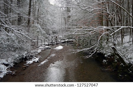Snow covered trees surrounding a mountain stream in East Tennessee.