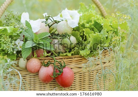 Fresh vegetables in basket with water drops