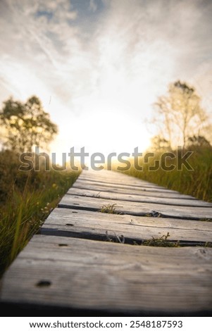 Similar – Foto Bild Nationalpark Eifel Hohes Venn mit Graslandschaft und Bäumen im Winter. Wenig Schnee liegt zwischen den dürren Grashalmen.