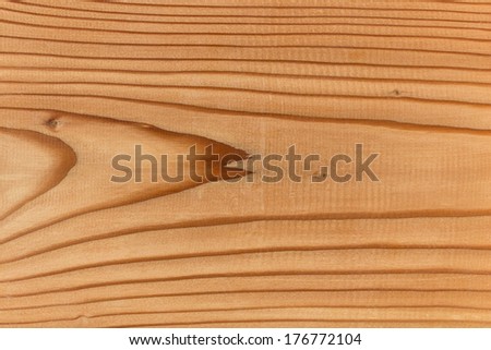 Wood section.