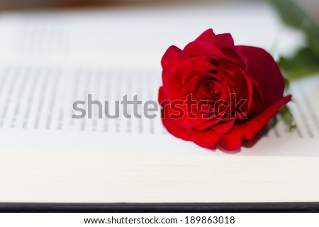 The open book and a red rose