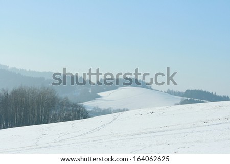 Nice winter with blue sky and white snow