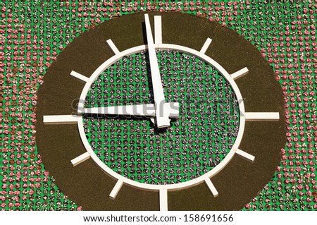 Flower clock showing 9 o\'clock as the beginning of the working day. Canon 5D Mk II.