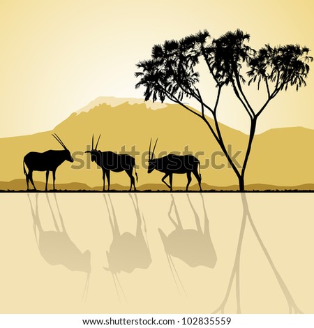 African landscape flora and fauna in sunset time with antelopes. Vector