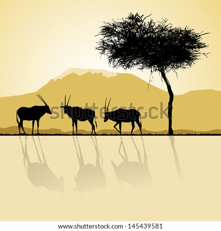 African landscape flora and fauna in sunset time with antelopes.