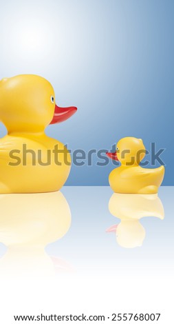 yellow duck composition, concept background