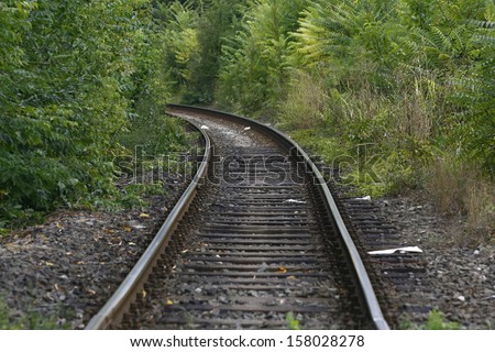 Railway track in a green forest. Railroad track vanishing into the distance.