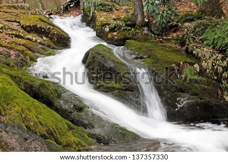 A waterfall flows around a rock in Tillman Ravine, Stokes State Forest, New Jersey.