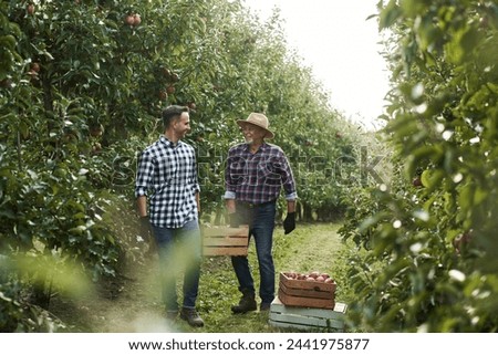 Similar – Image, Stock Photo Apple plantation with a net for protection