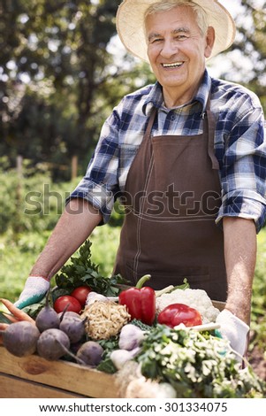 Senior man lifting box full of seasonal vegetables