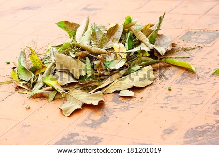 Dry leaves pile