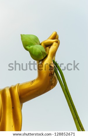 The Buddha hand and two green lotus