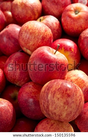 Pile of red Royal Gala apples