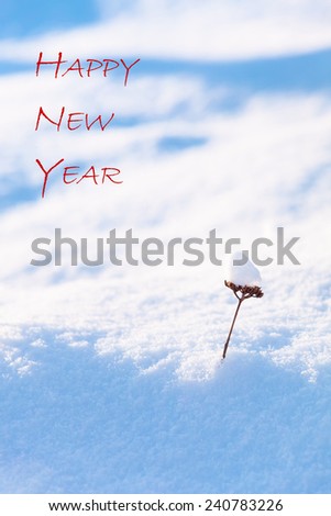 Small part of a plant with huge load of fresh snow and textual wish Happy New Year/New Year Wish and Small Snowy Plant