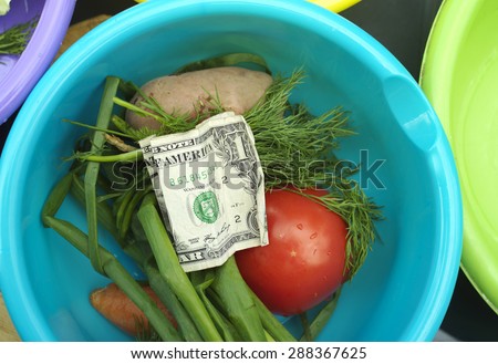 Overhead shot of one dollar bill and fresh vegetables, concept of food expenses