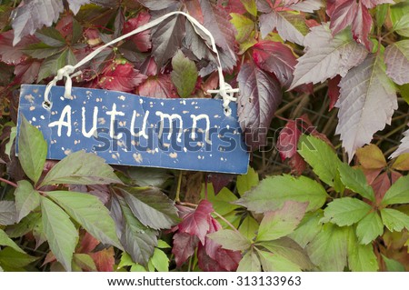 Hand written tag Autumn hanging on the branch with fading leaves, concept of season change