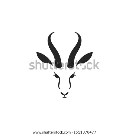 Antelope springbok. Logo. Isolated antelope head. Wild animal