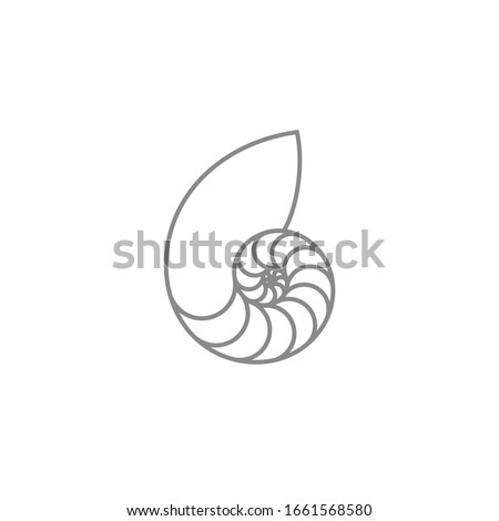 Nautilus Pompilius. Outline style. Isolated nautilus shell on white background. Sea shell