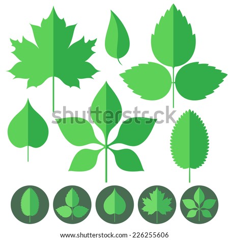 Leaf. Icon set. Vector illustration EPS10. Isolated leaves on white background