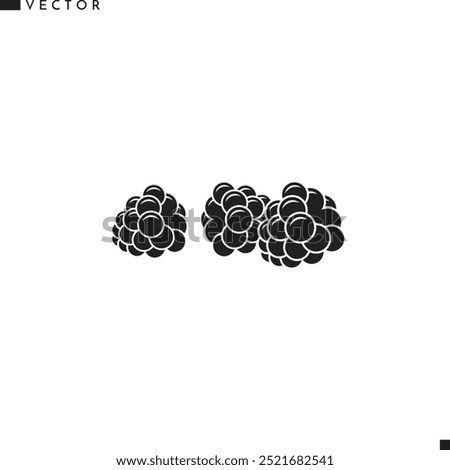 Blackberry icon. Fresh berries vector. Isolated blackberry on white background 